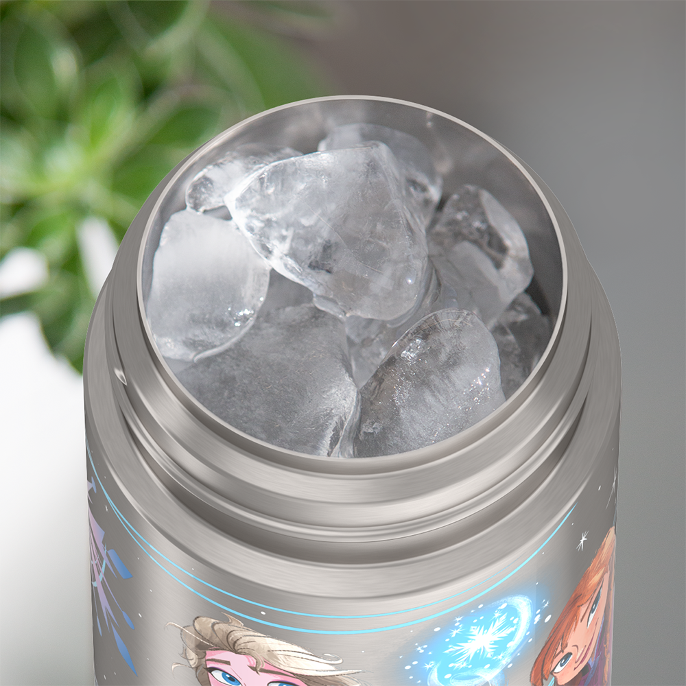 f4104fz_frozen_12ozbottle_iceinset_pdp.png